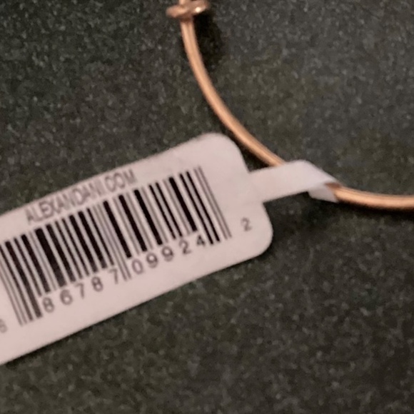Alex and Ani Expandable Wire Bracelet Four Leaf Clover Slider New with tag - Picture 10 of 10